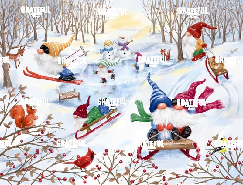 Gnomes Winter Sport
