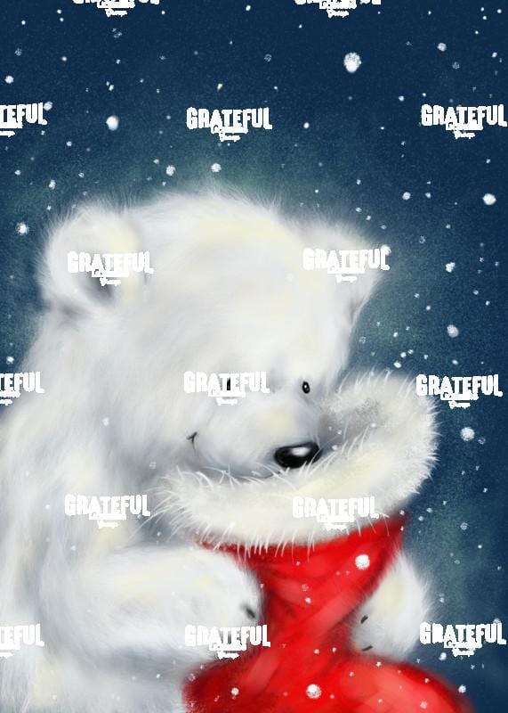 Polar Bear & Christmas Sock