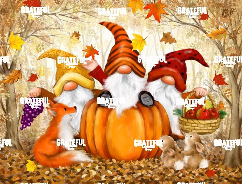 Autumn Gnomes in the Woods