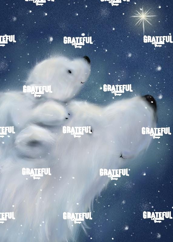 Polar Bear & Cub