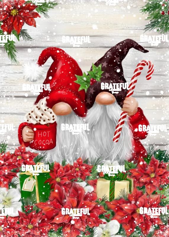 Gnomes with Poinsettias