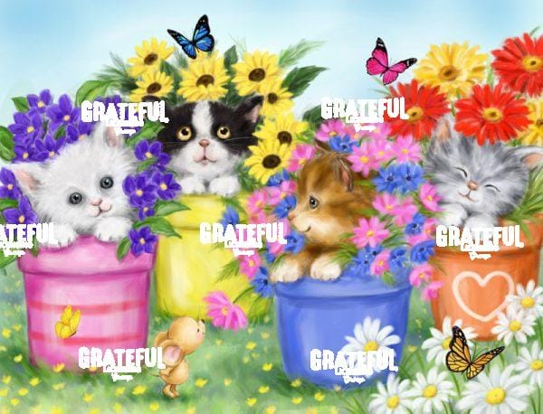 Cats in Flower Pots