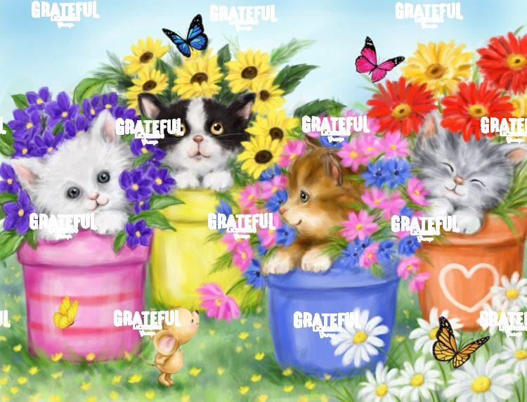 Cats in Flower Pots