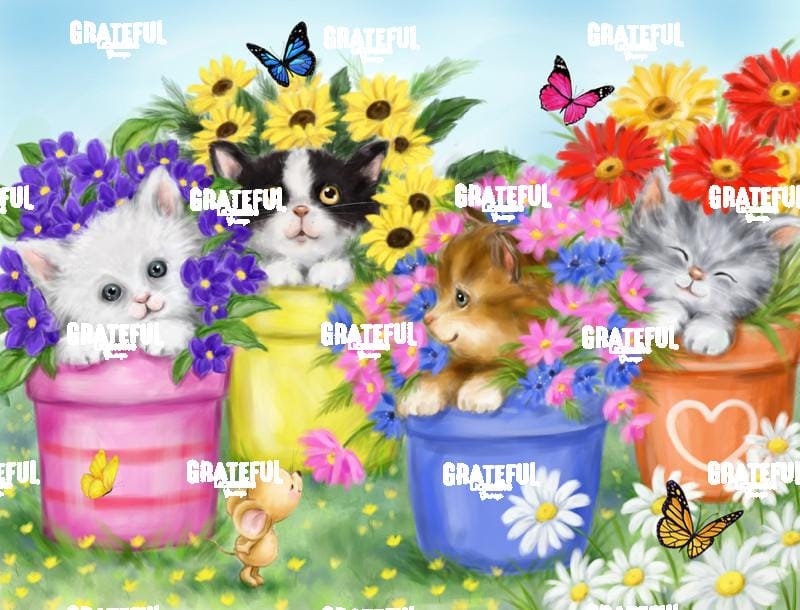 Cats in Flower Pots