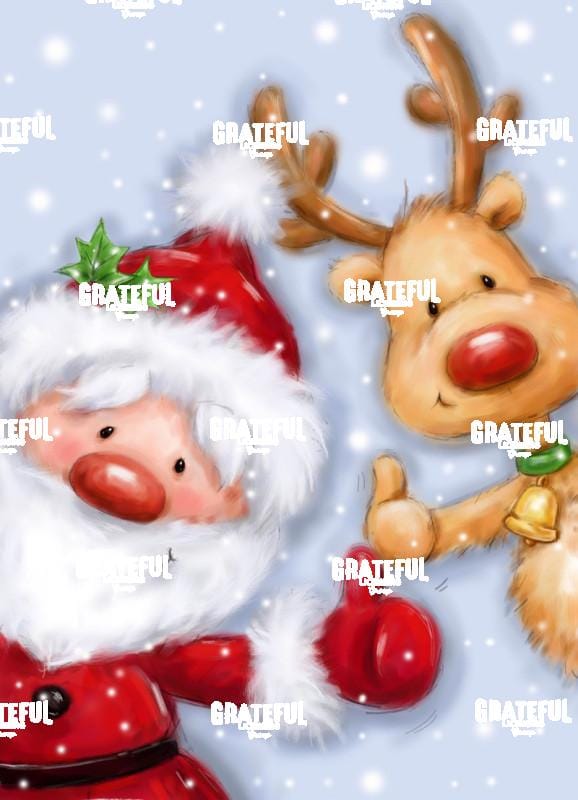 Santa & Reindeer