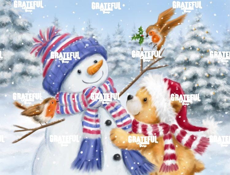 Snowman and Bear
