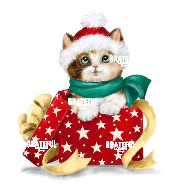 Christmas Calio Cat