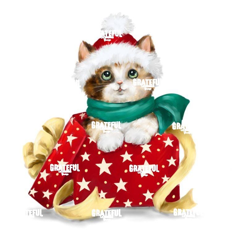 Christmas Calio Cat