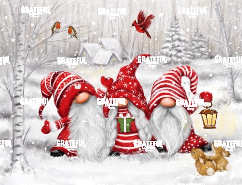 Three Gnomes in the Woods