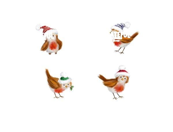 Robins
