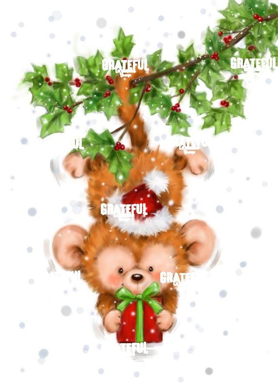 Monkey Christmas