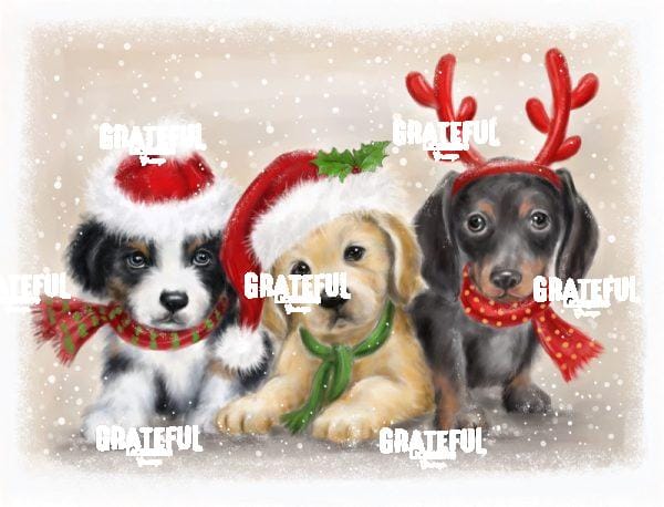 Dogs Christmas