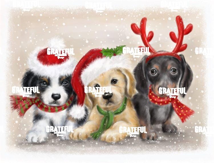 Dogs Christmas
