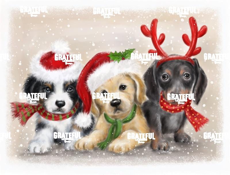 Dogs Christmas