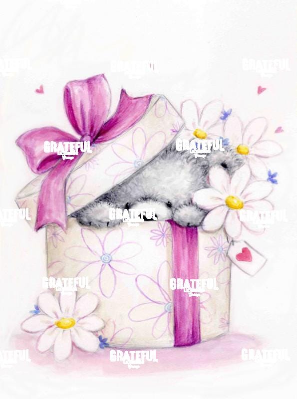 Gray Bear in Box