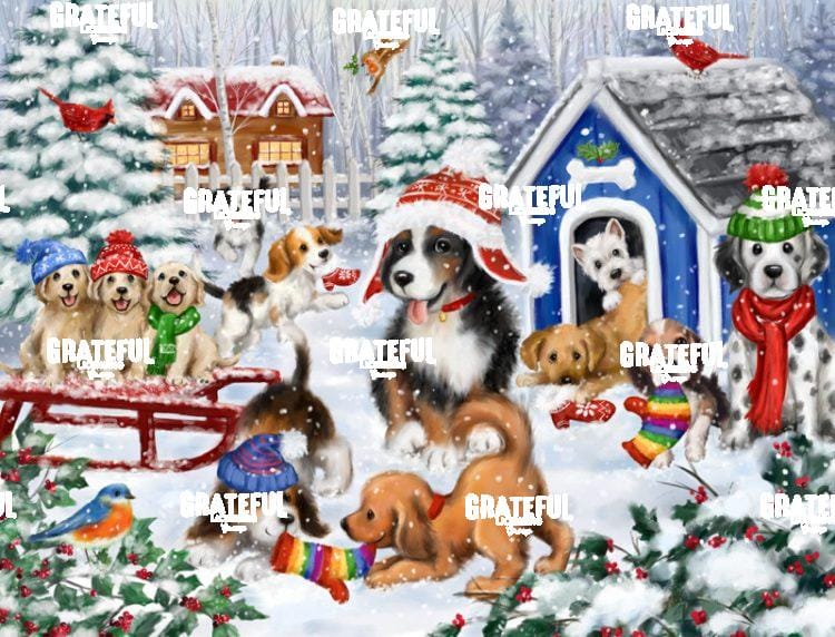Dog House Fun