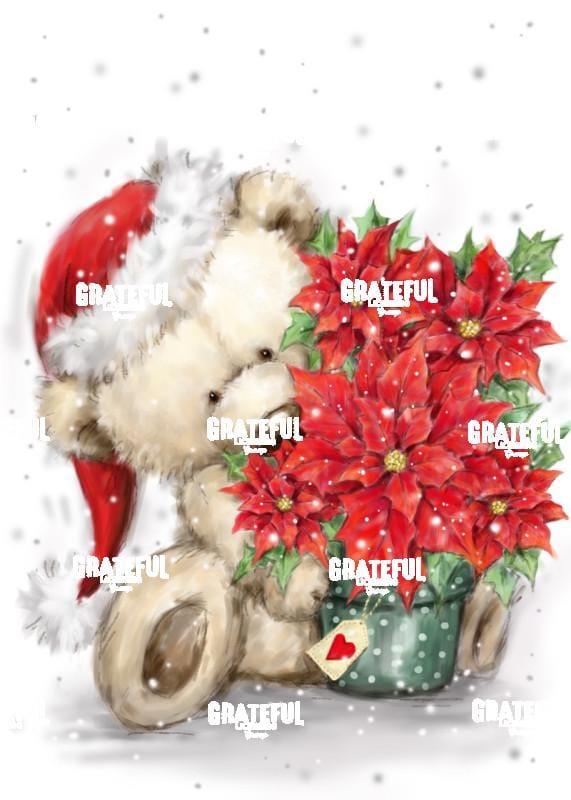 Bear with Poinsettia