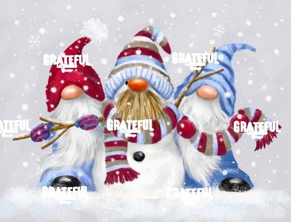 Winter Gnomes