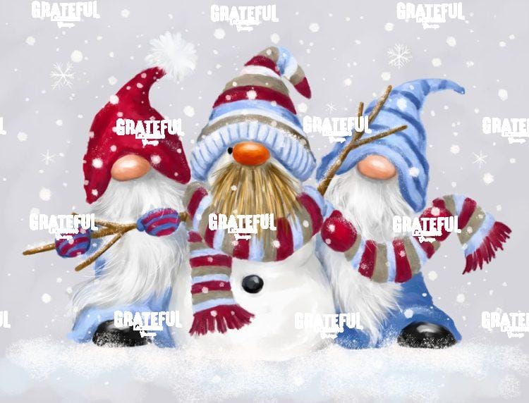 Winter Gnomes
