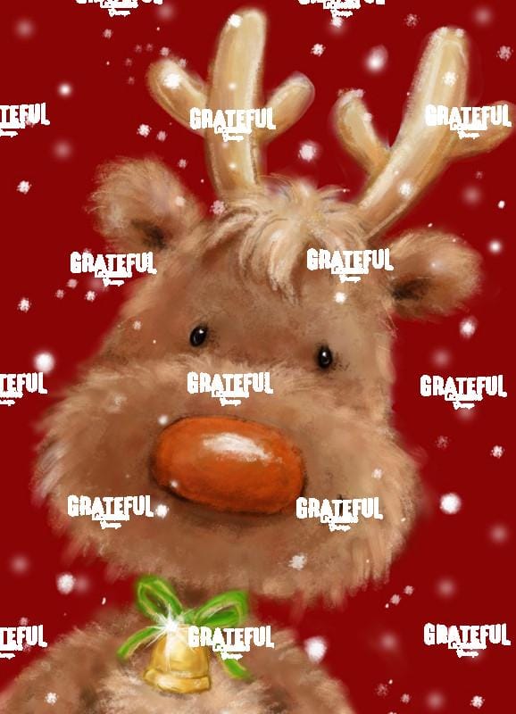 Reindeer