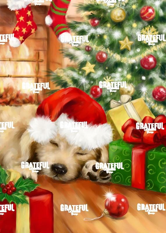 Christmas Dream