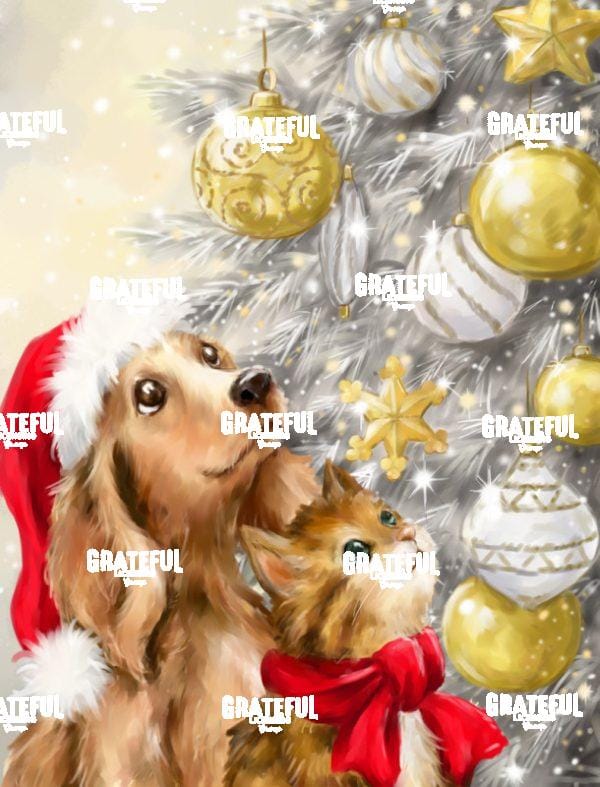 Dog and Cat with Baubles