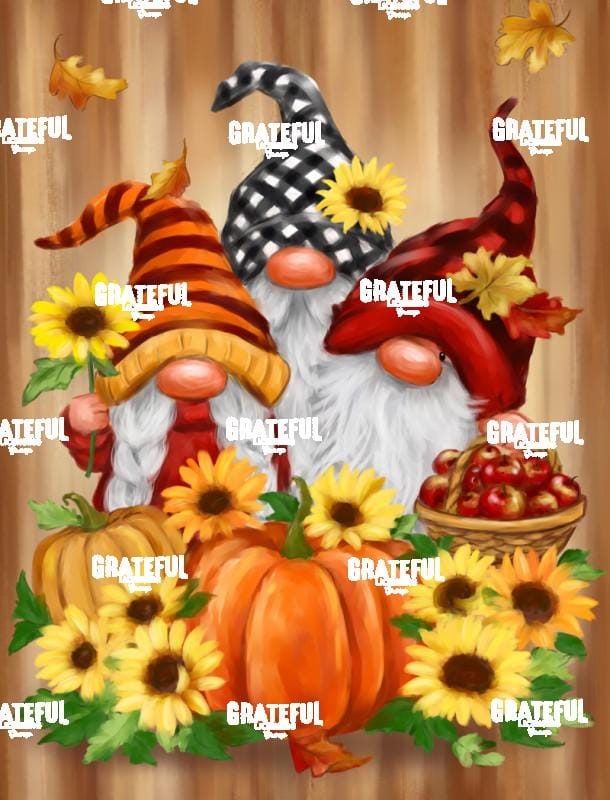 Fall Three Gnomes