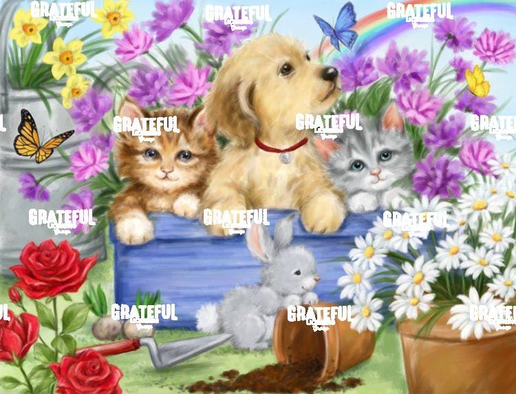 Cats and Dog Garden