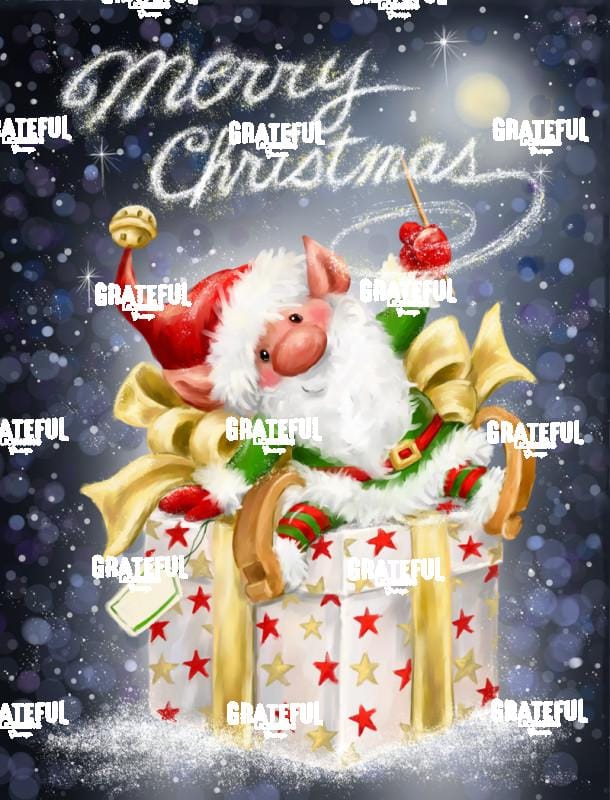 Elf with Big Present