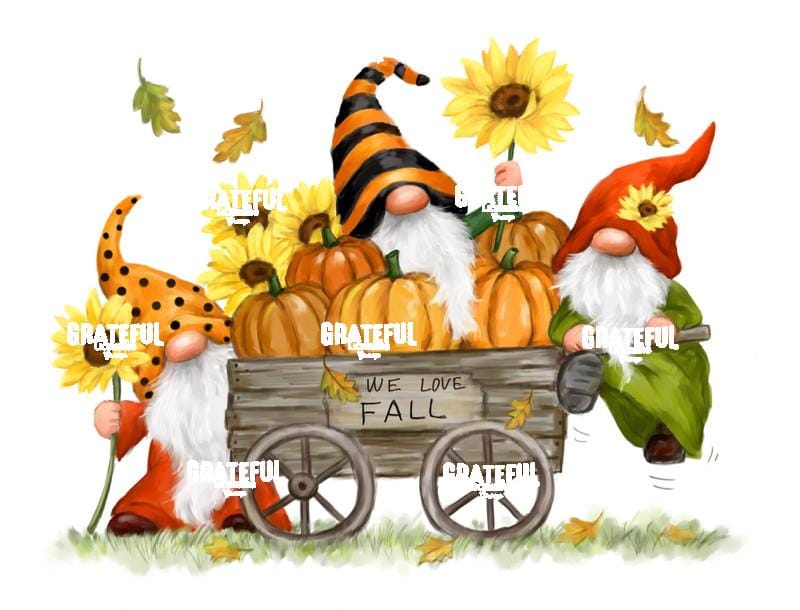 Fall Gnomes