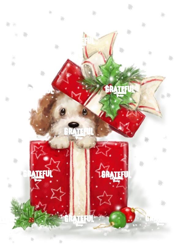 Dog in Present