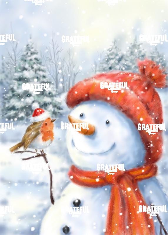 Snowman & Robin