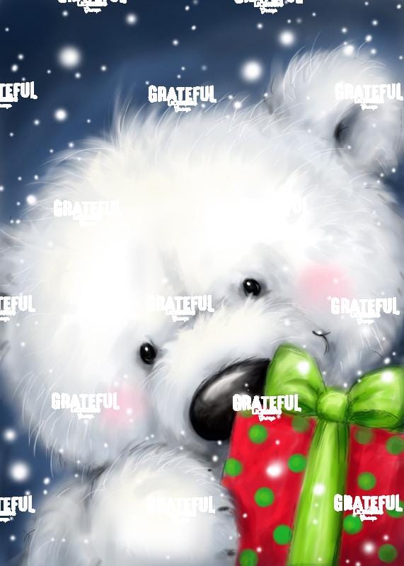 Polar bear & Present