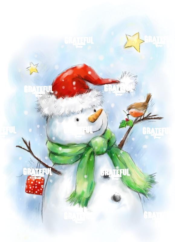 Snowman with Robin