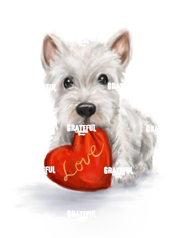 Dog with Red Heart
