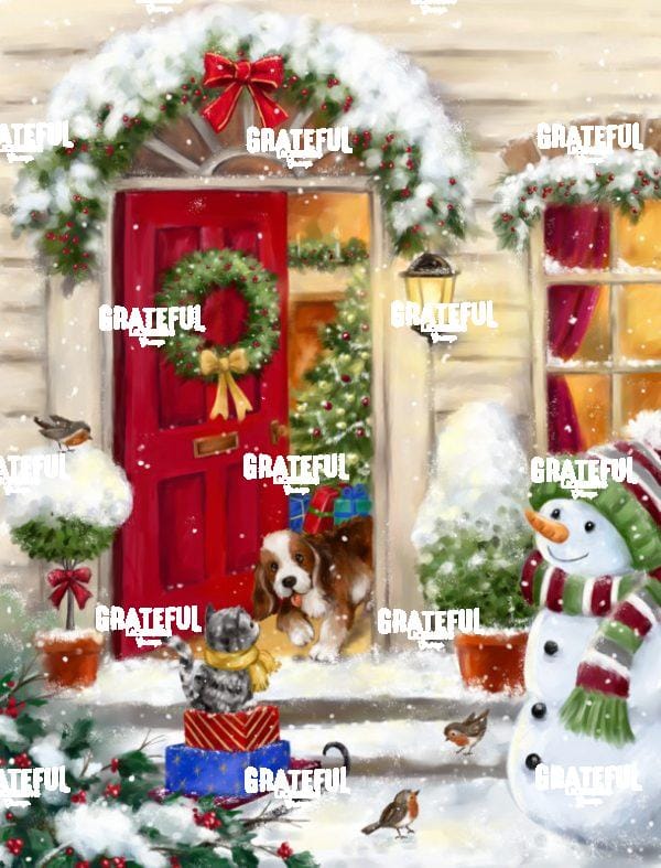 Christmas Red Door and Friends