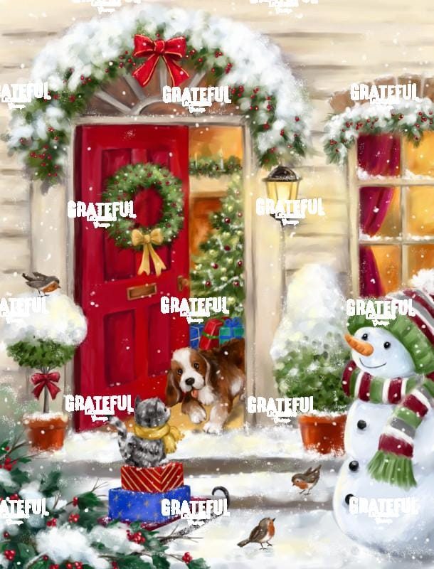 Christmas Red Door and Friends