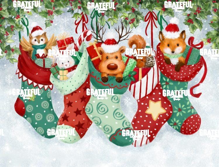 Christmas Socks
