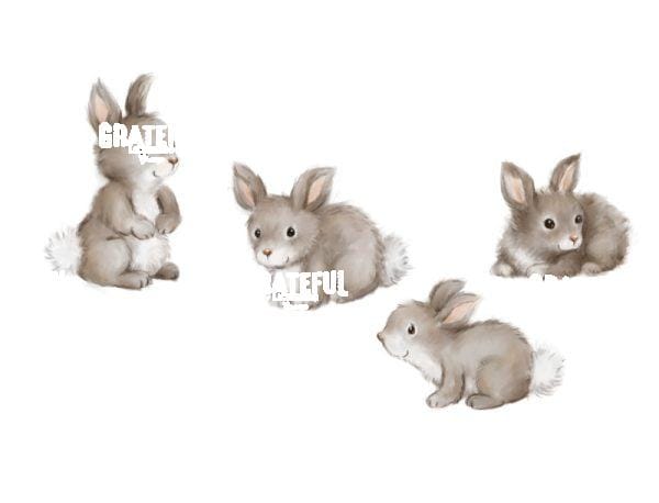 Bunnies