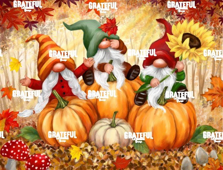 Fall Gnomes in Wood