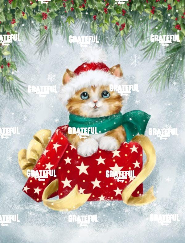 Christmas Cat in Box