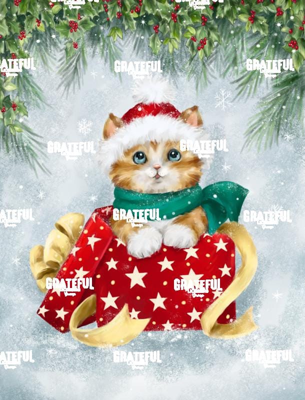Christmas Cat in Box