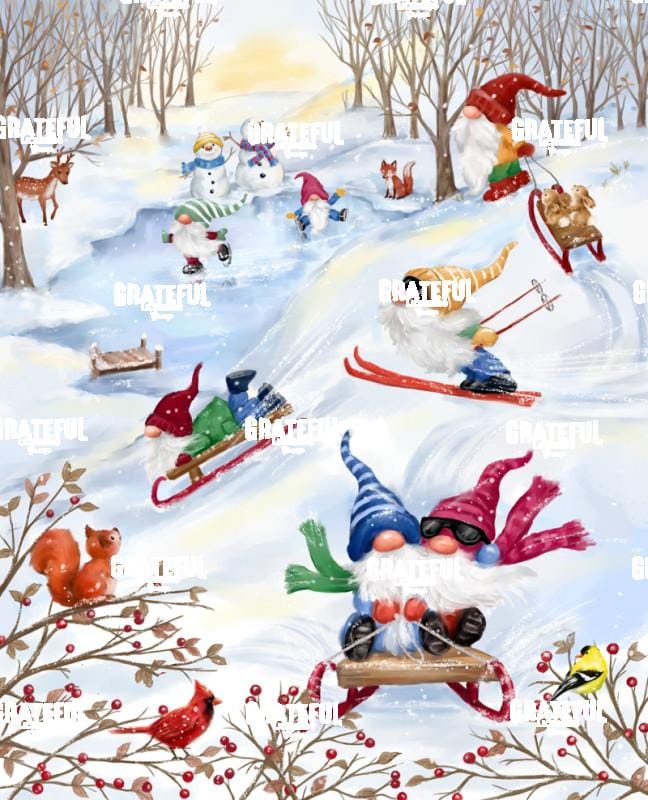 Gnomes Winter Sport II