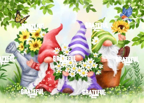 Three Spring Garden Gnomes