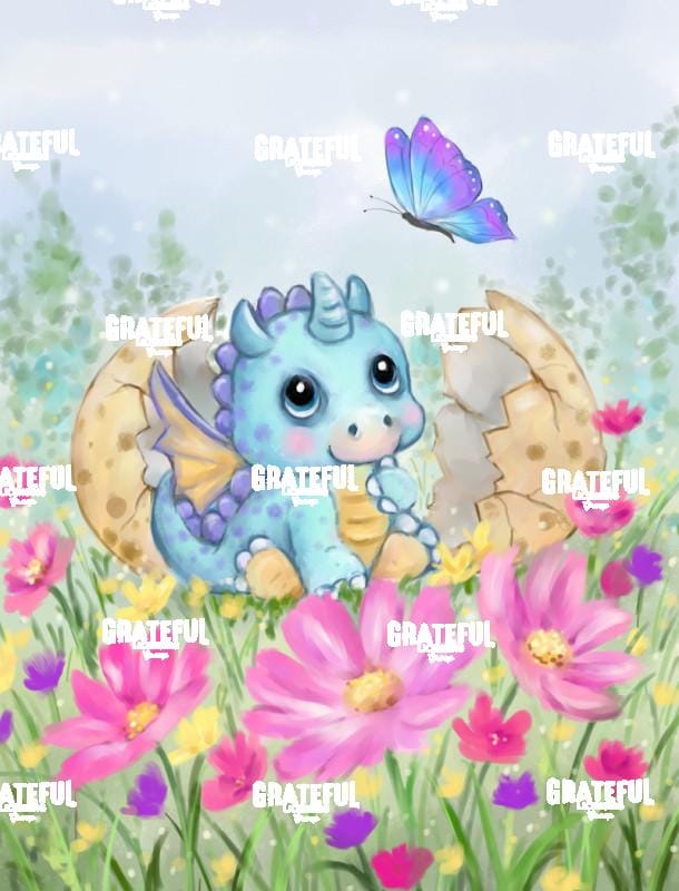 Baby Dragon Spring