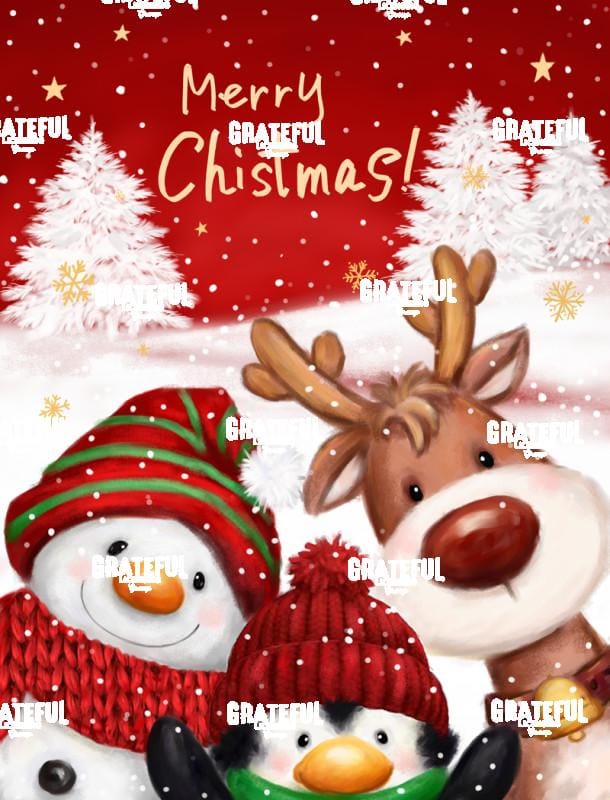 Happy Christmas Friends