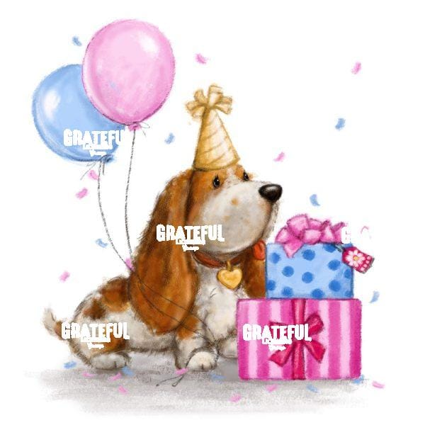 Dog with Presents