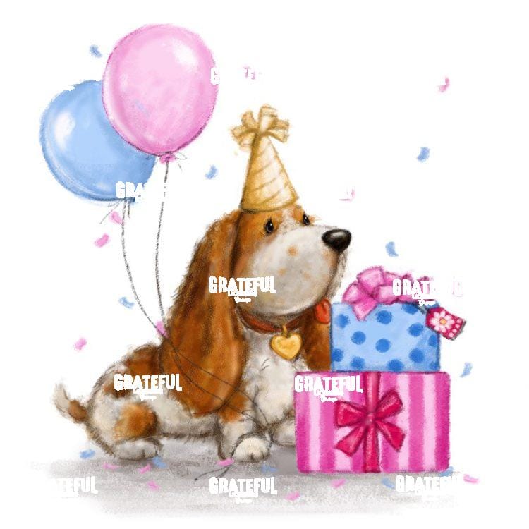 Dog with Presents