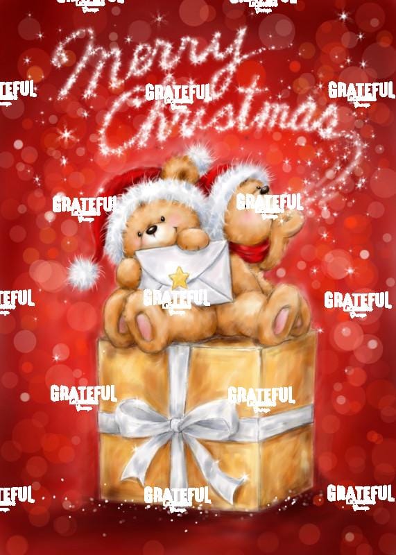 Two Bears on Presents