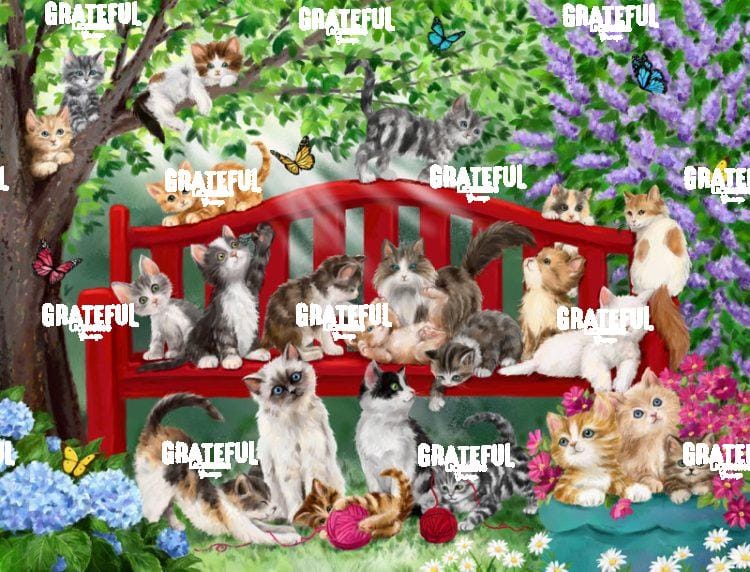 Cats on Bench